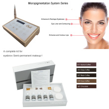 Sistema inovador do dispositivo do Micropigmentation Máquina de composição permanente de Digitas 0-1